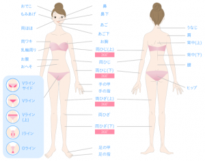 キレイモの脱毛対応ヵ所